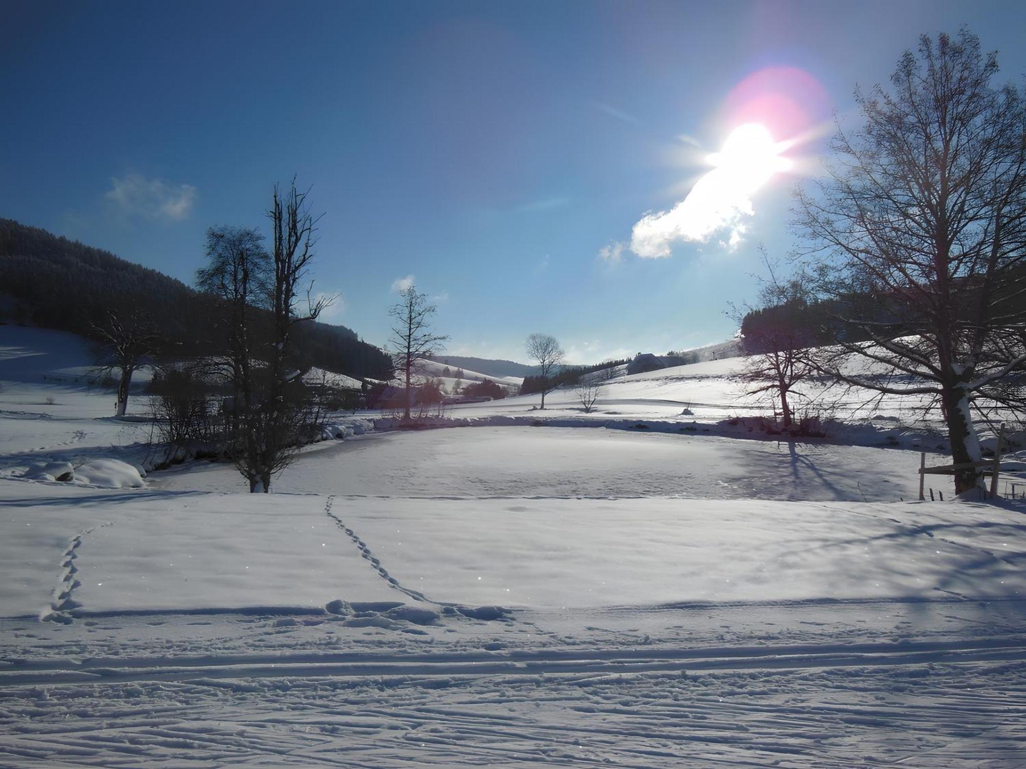 Ferienhaus Kaltenbach Titisee-Neustadt Esterno foto