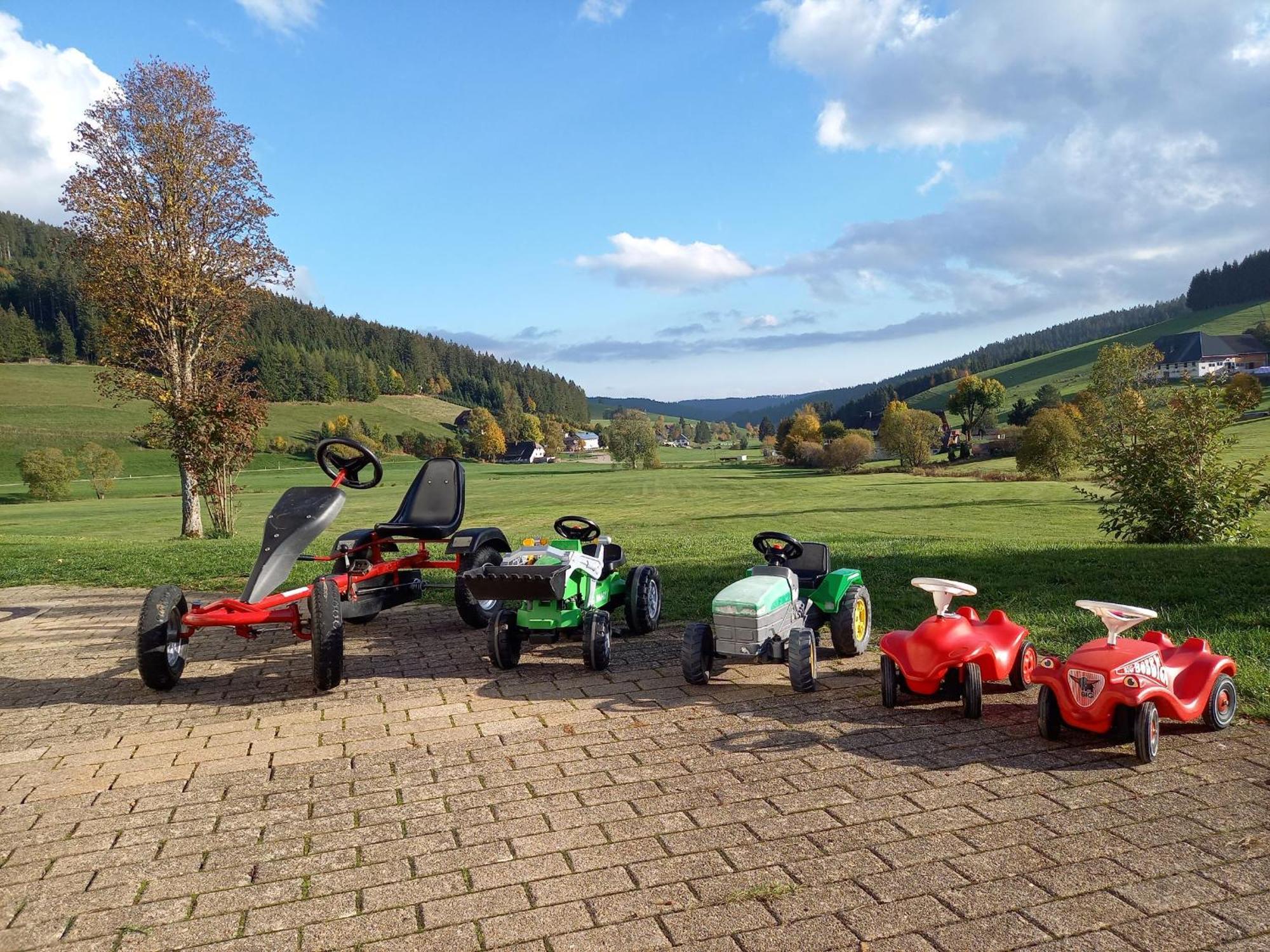 Ferienhaus Kaltenbach Titisee-Neustadt Esterno foto