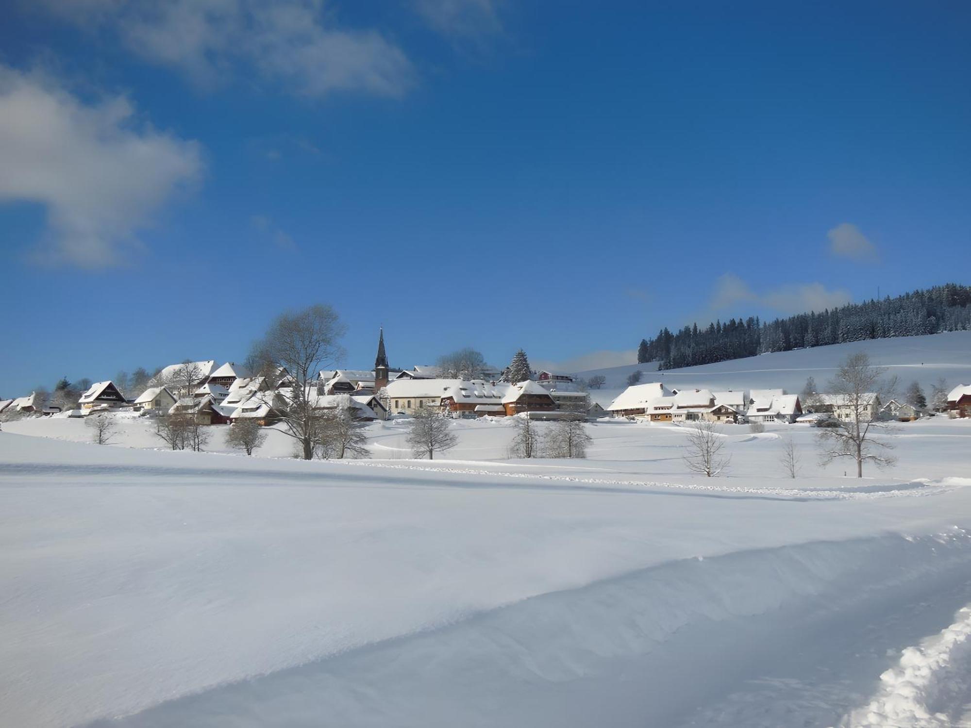 Ferienhaus Kaltenbach Titisee-Neustadt Esterno foto