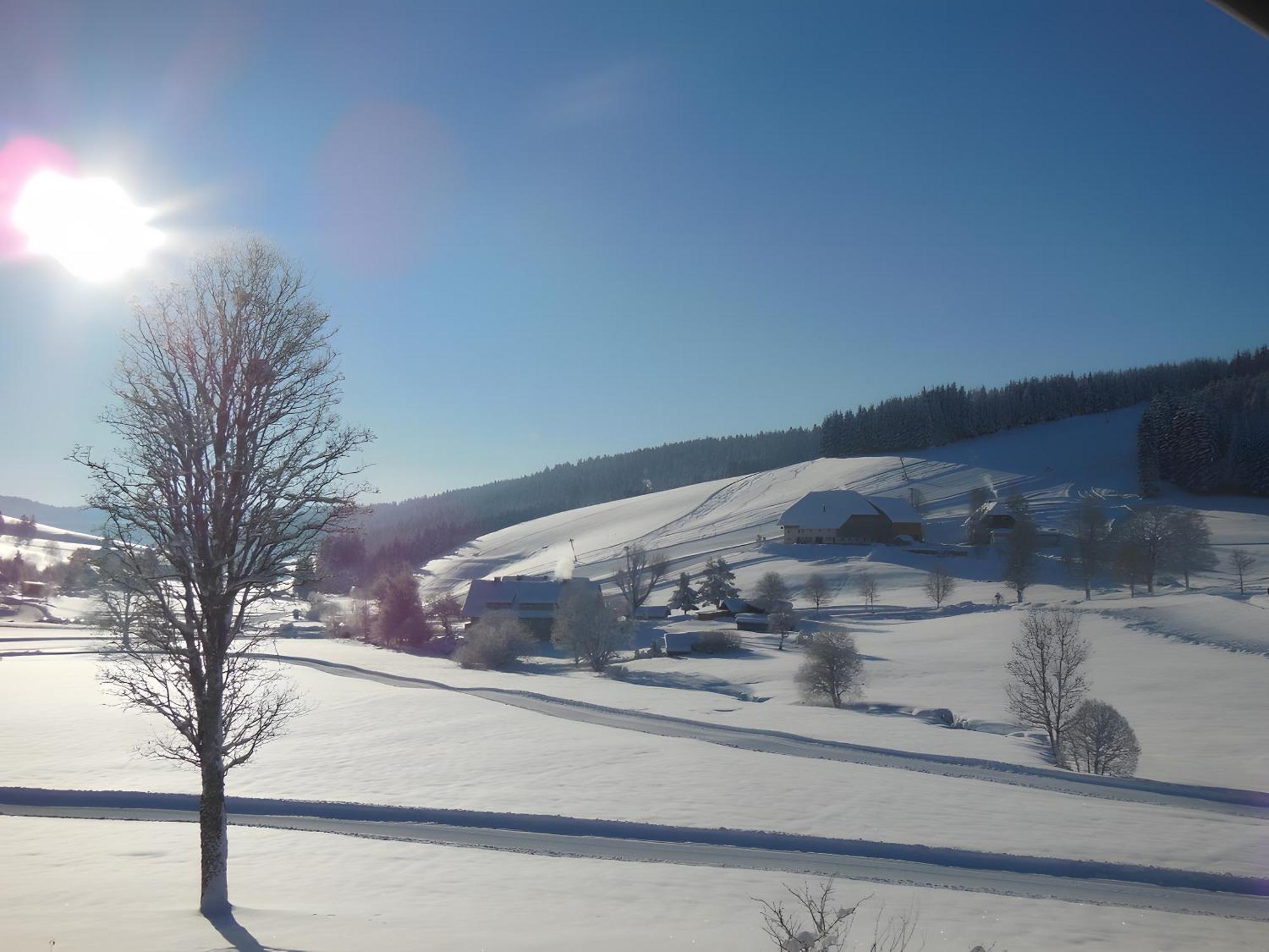 Ferienhaus Kaltenbach Titisee-Neustadt Esterno foto