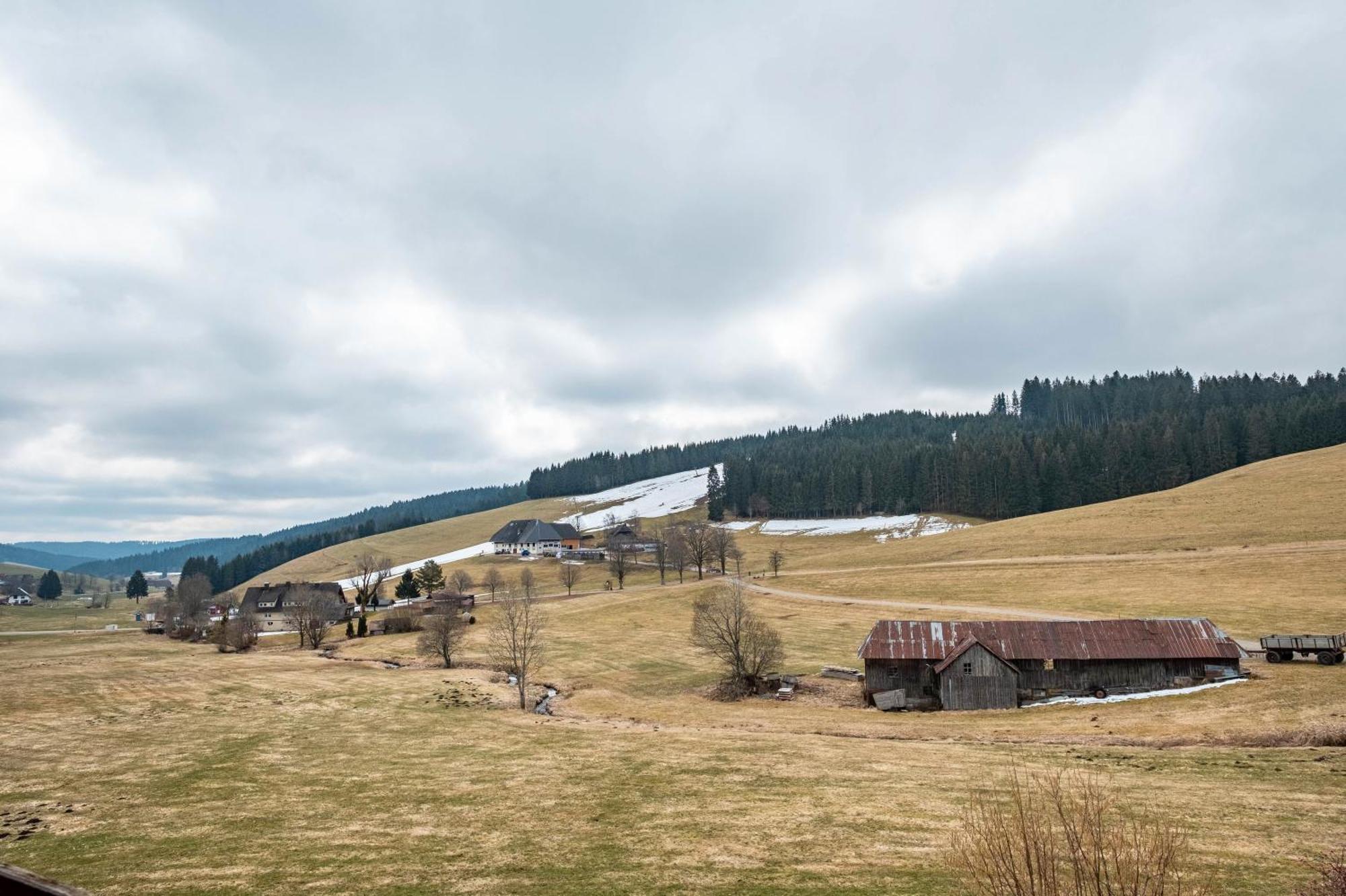Ferienhaus Kaltenbach Titisee-Neustadt Esterno foto