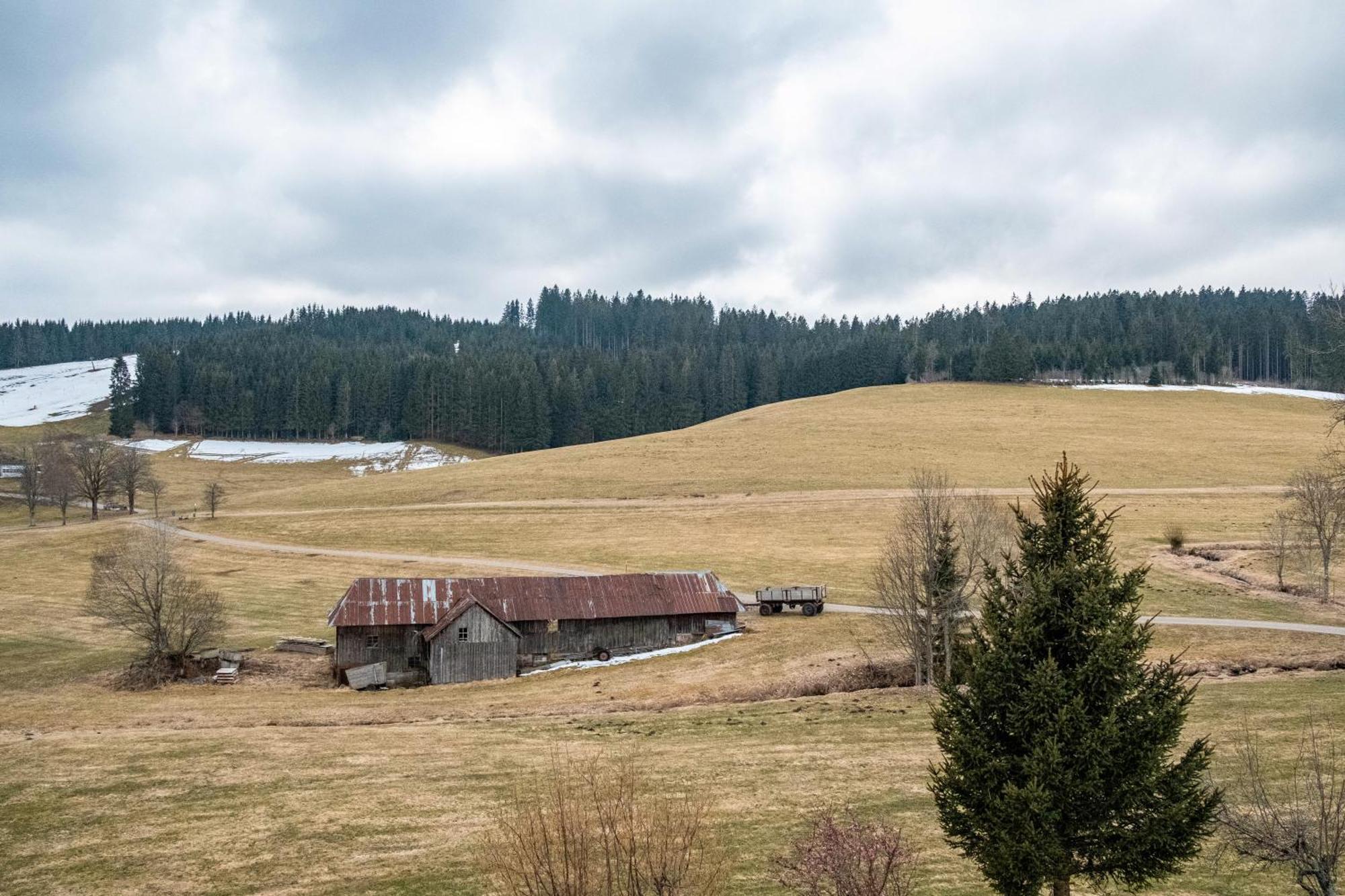 Ferienhaus Kaltenbach Titisee-Neustadt Esterno foto