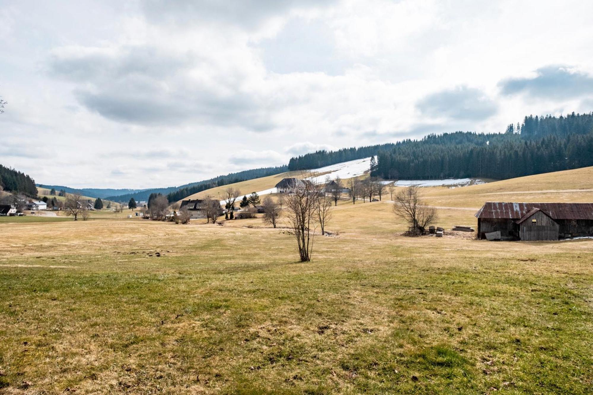 Ferienhaus Kaltenbach Titisee-Neustadt Esterno foto